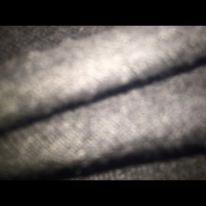 Meet your Posher, Maine